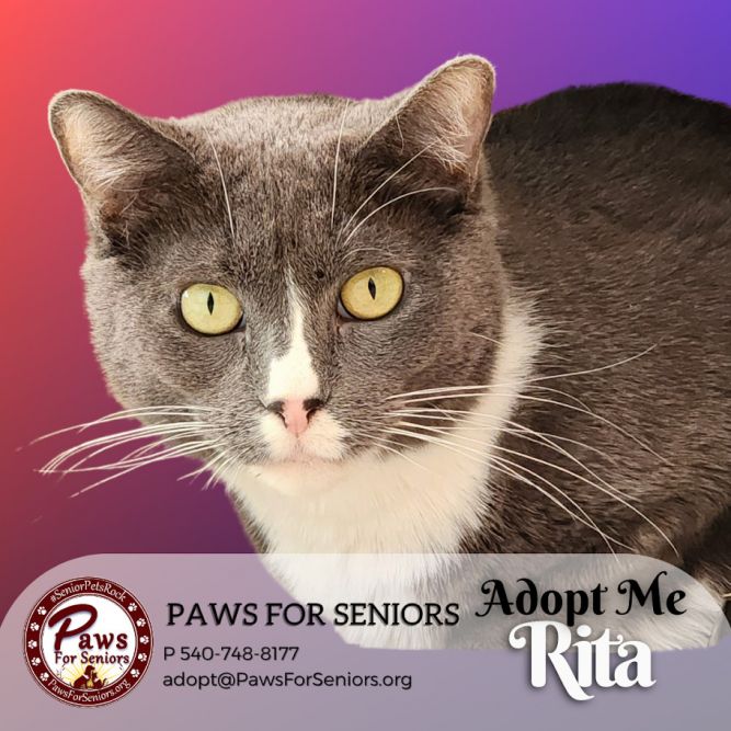 Rita