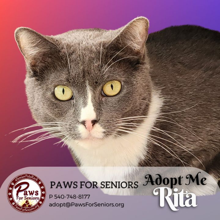Rita 1