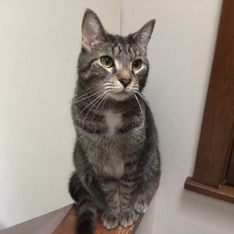 Benny