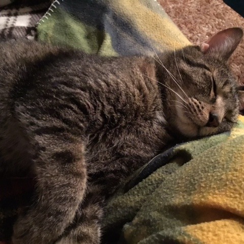 Benny
