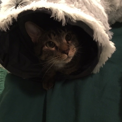 Benny