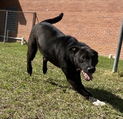 Sam