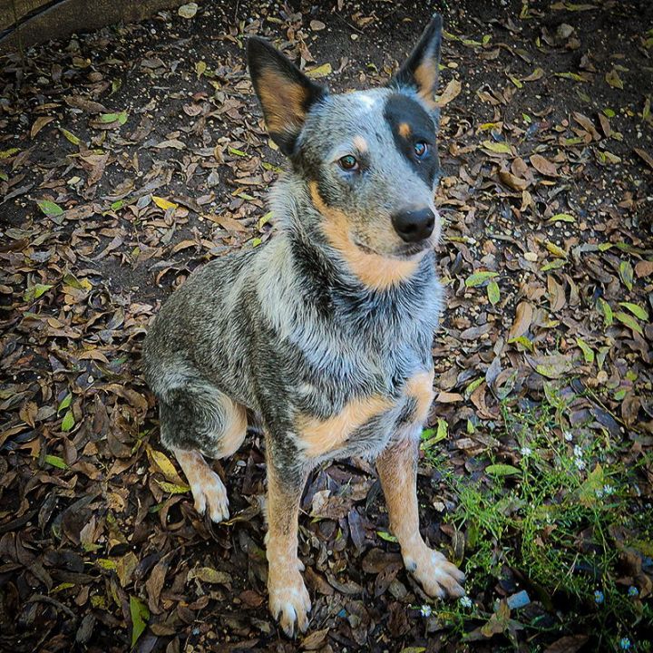 Jake II (New Digs) 1