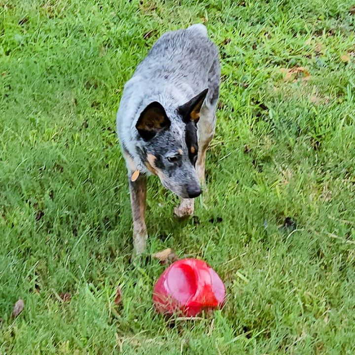 Jake II (New Digs) 2