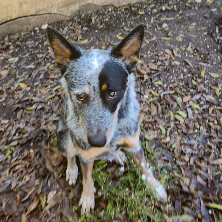 Jake II (New Digs) 3