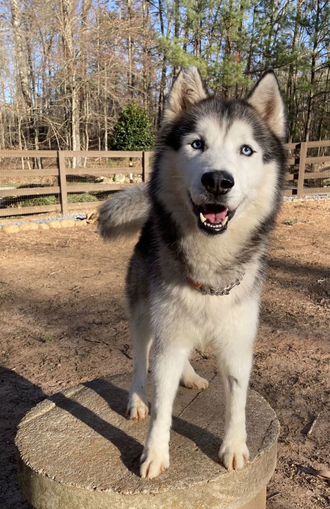 Zeus