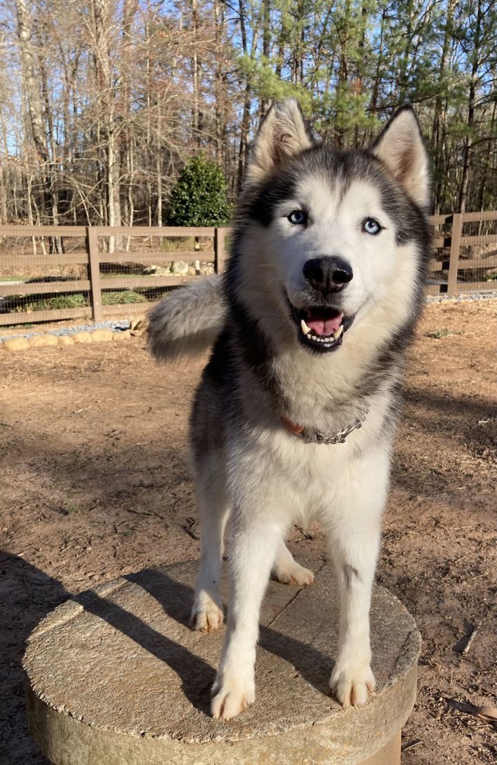 Zeus 1
