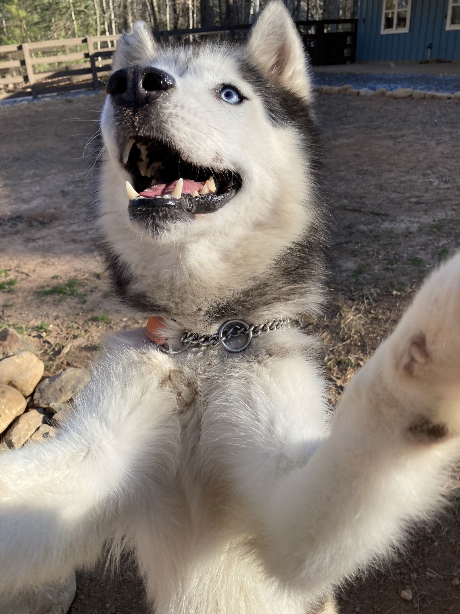 Zeus