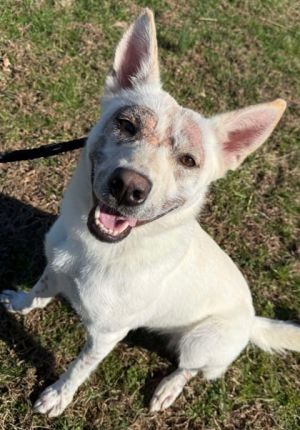 Lilly Anne - SPONSORED