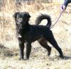 Boomer (courtesy post) photo 1