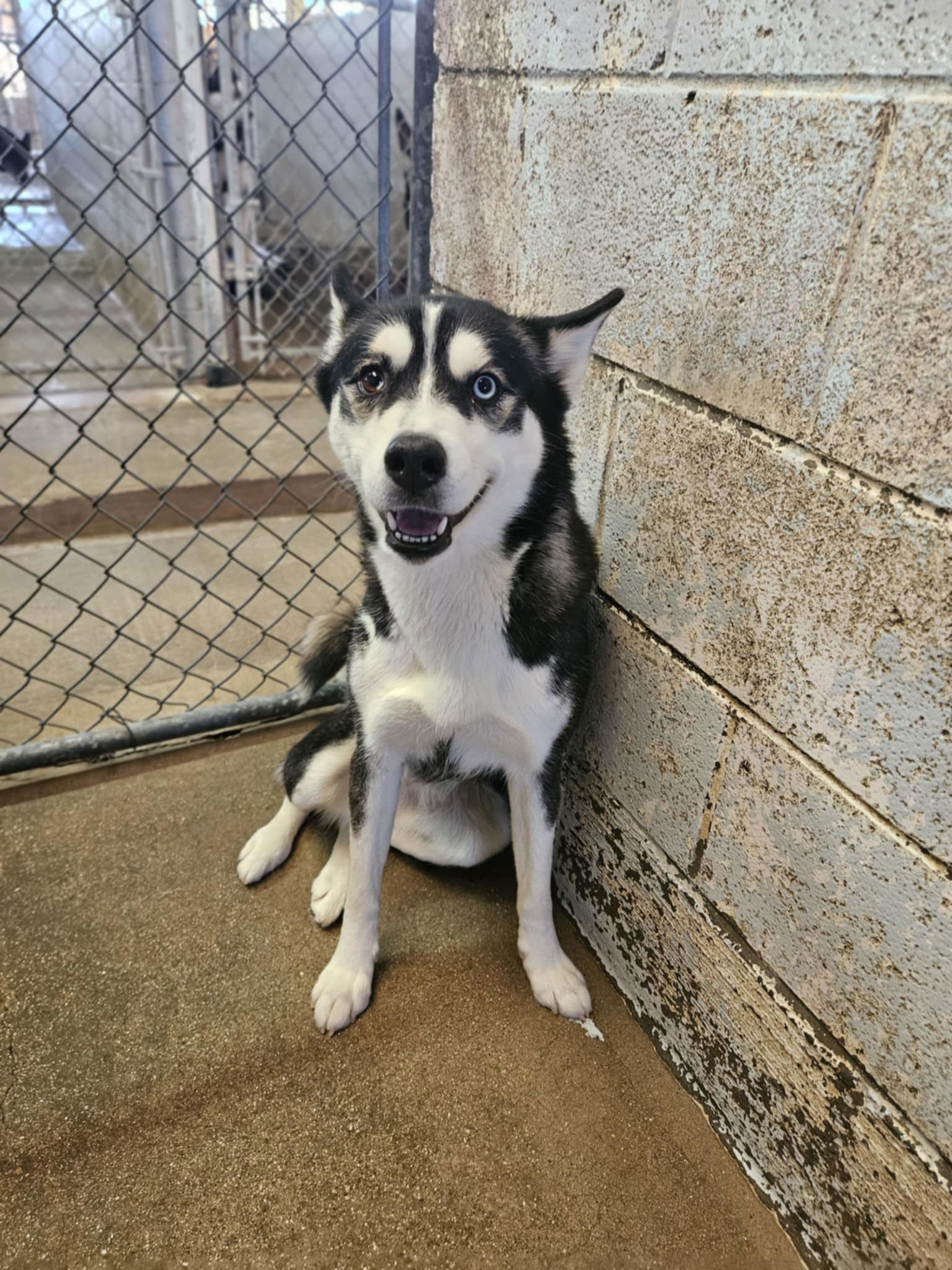 Mia