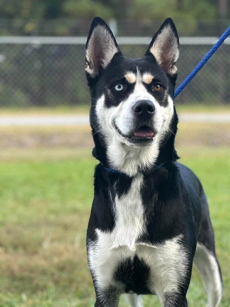 Lucy Lou