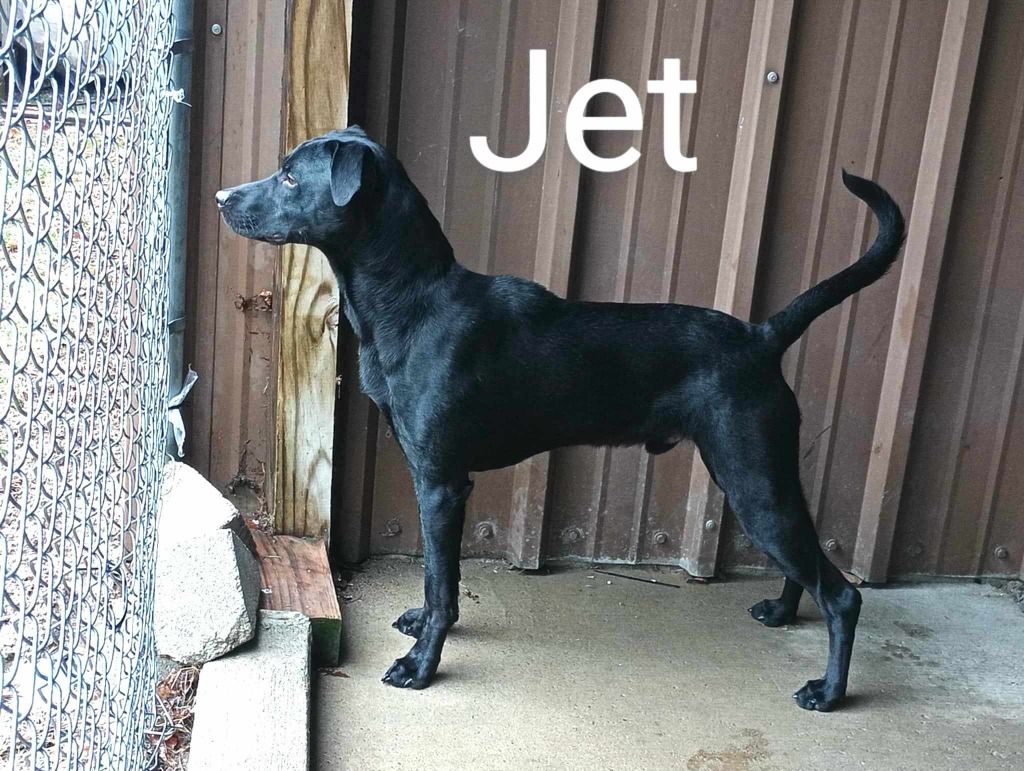 Jet