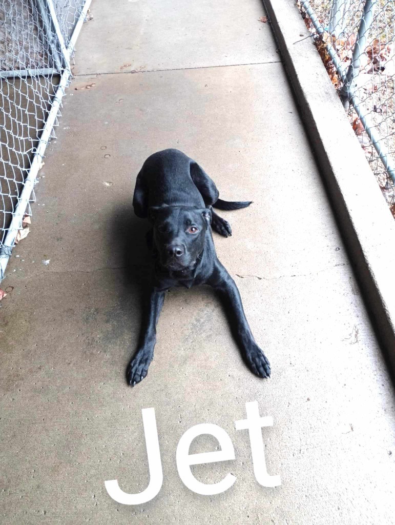 Jet