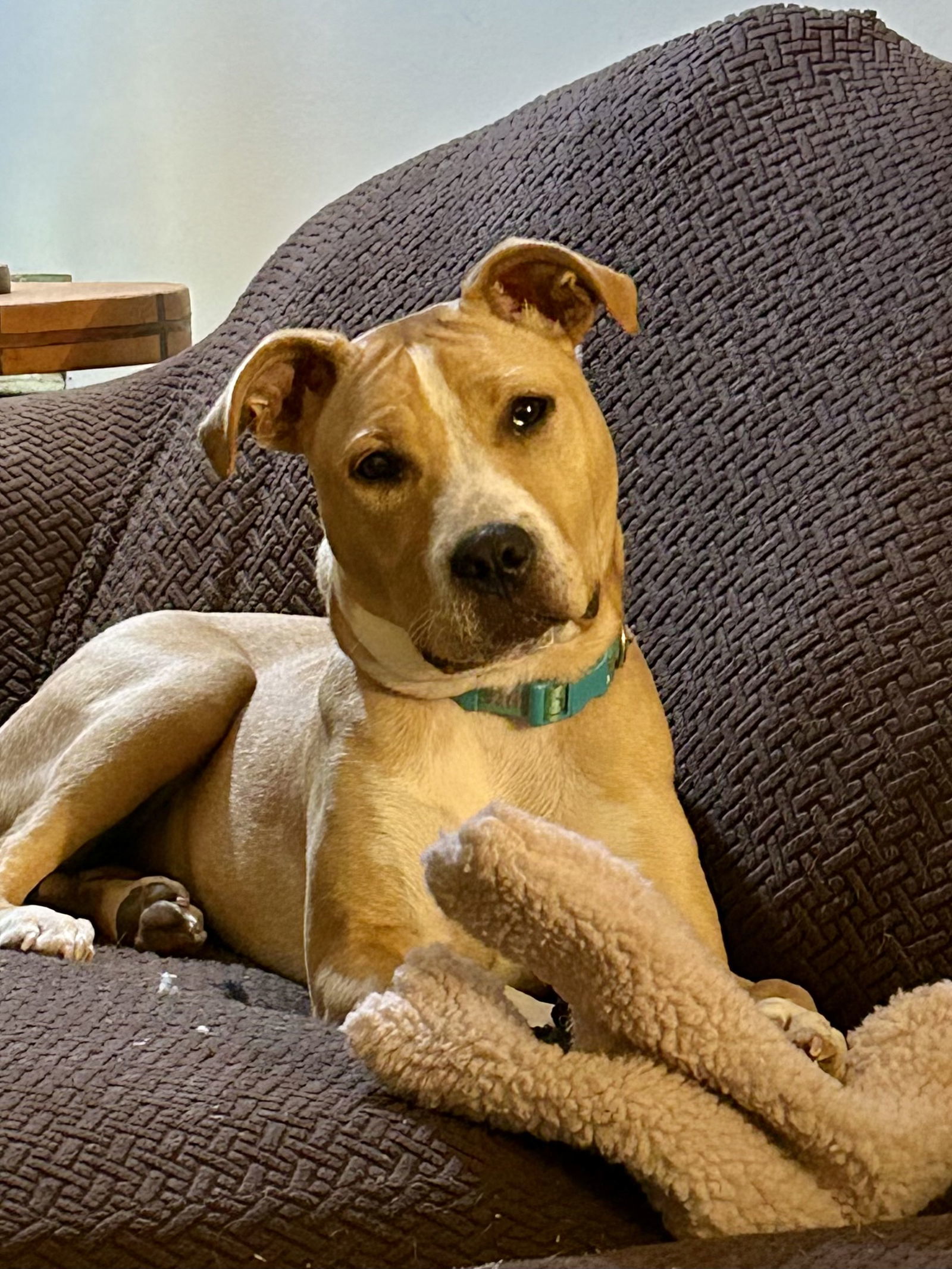 Katie