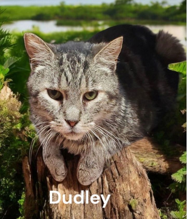 Dudley 1