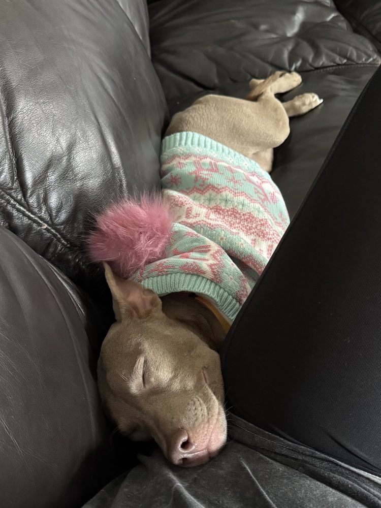 Spring (Zoey)