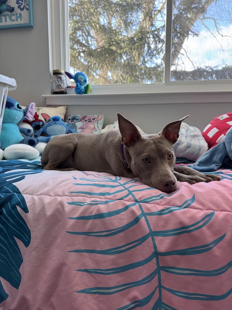 Spring (Zoey)