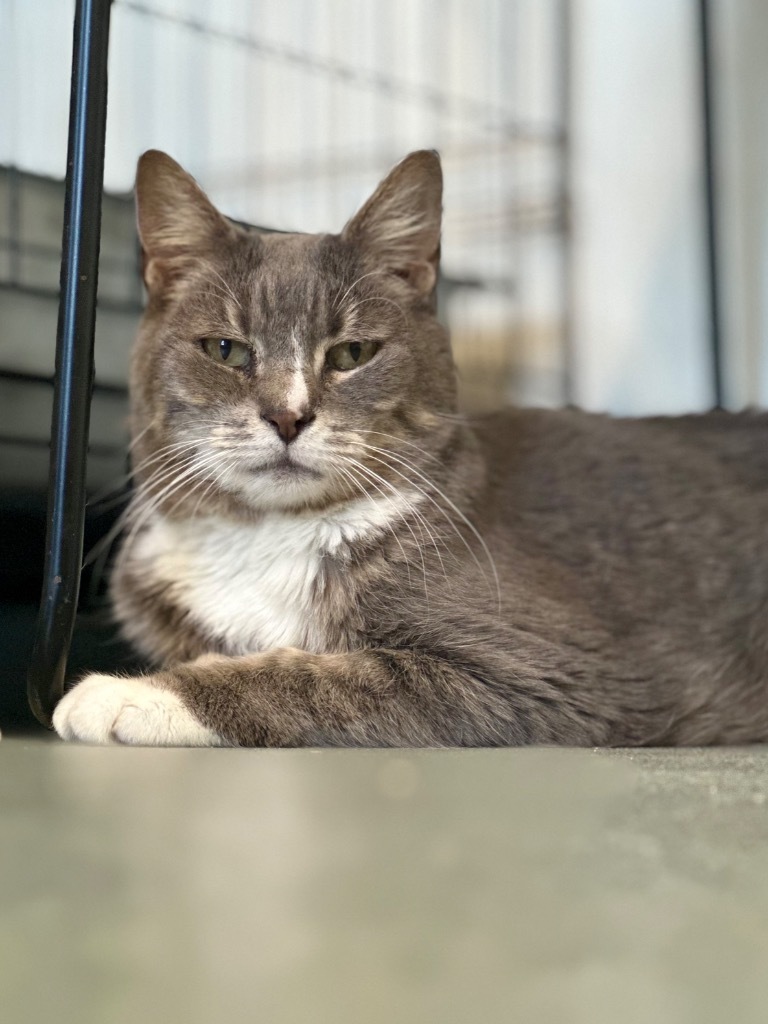 Siesta (fka Malibu)