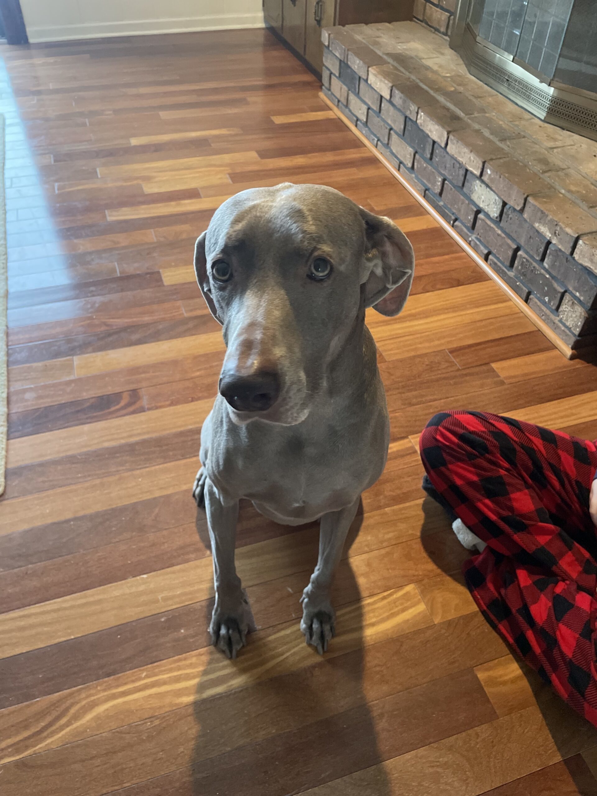 Greta