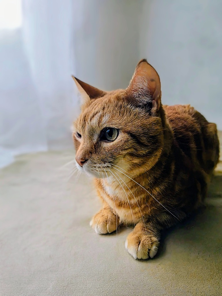 Tigger