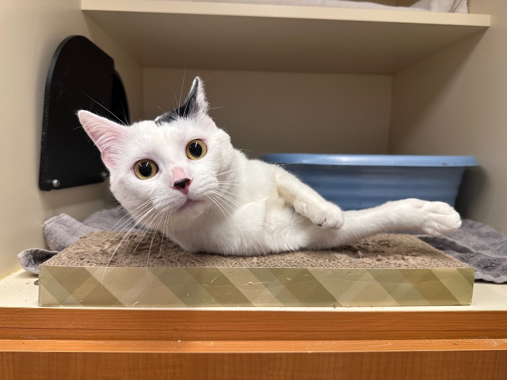Waldorf