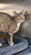 Tabitha photo 4