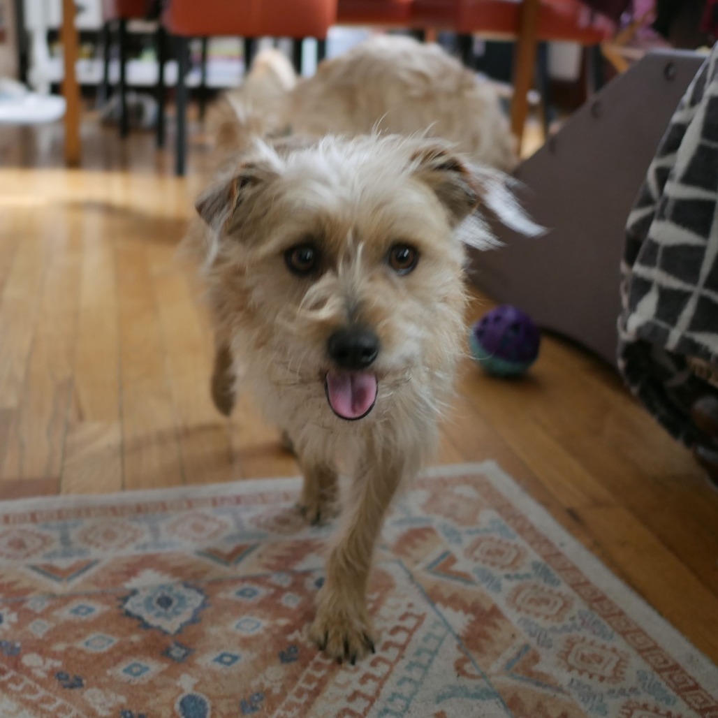 Watson