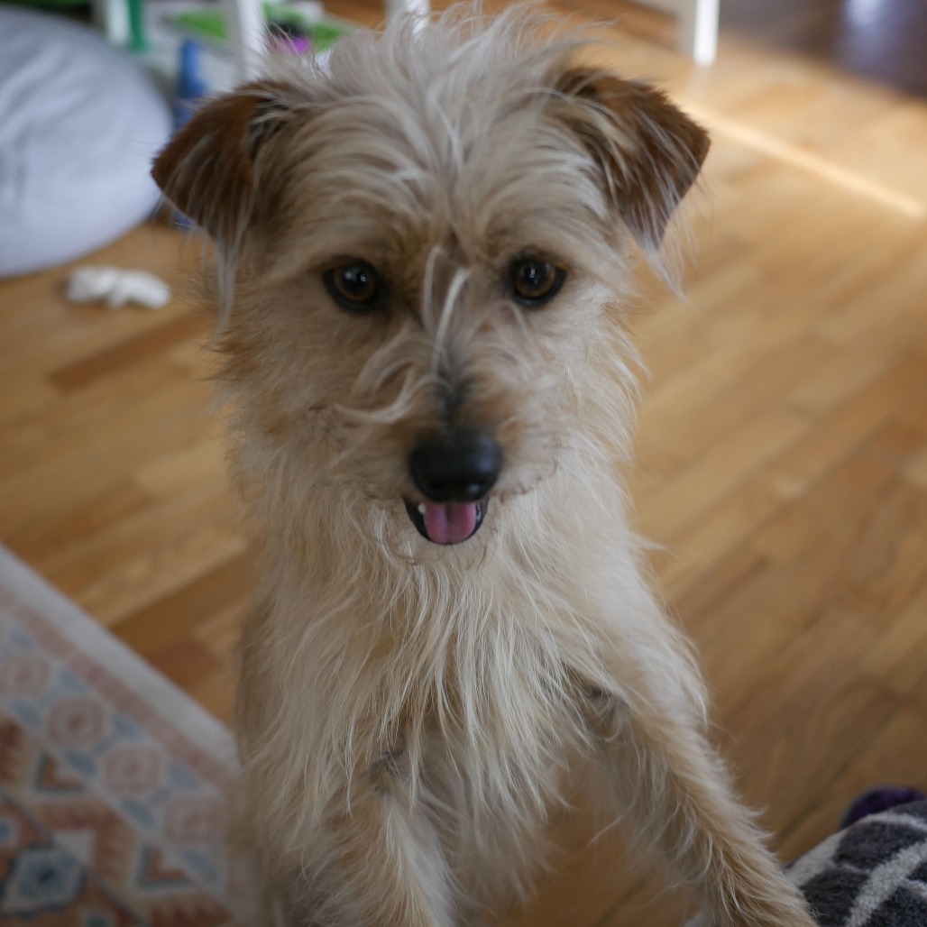 Watson