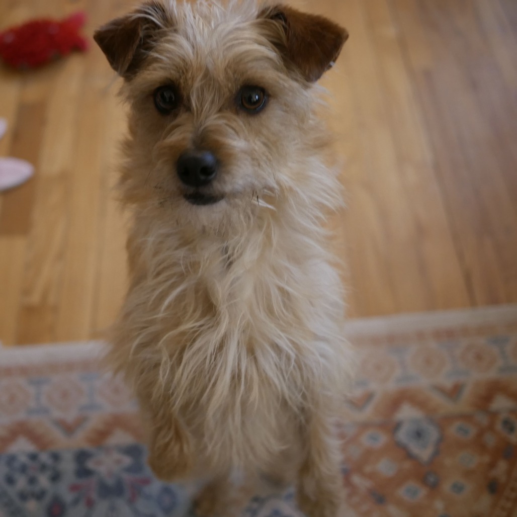 Watson