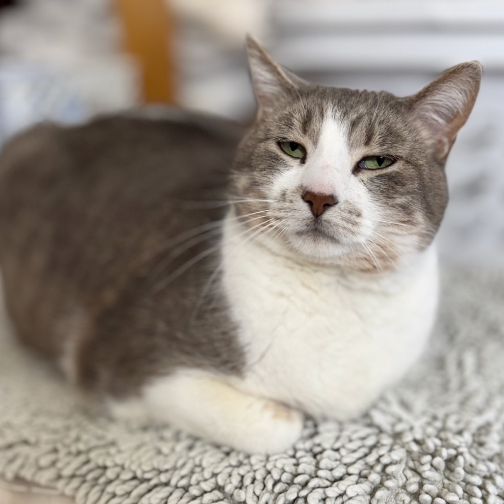 Adam