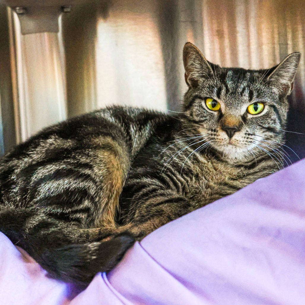 Ashley (Bonded with Asher)
