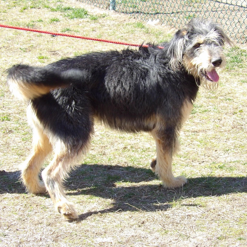 Max FKA Fluffy
