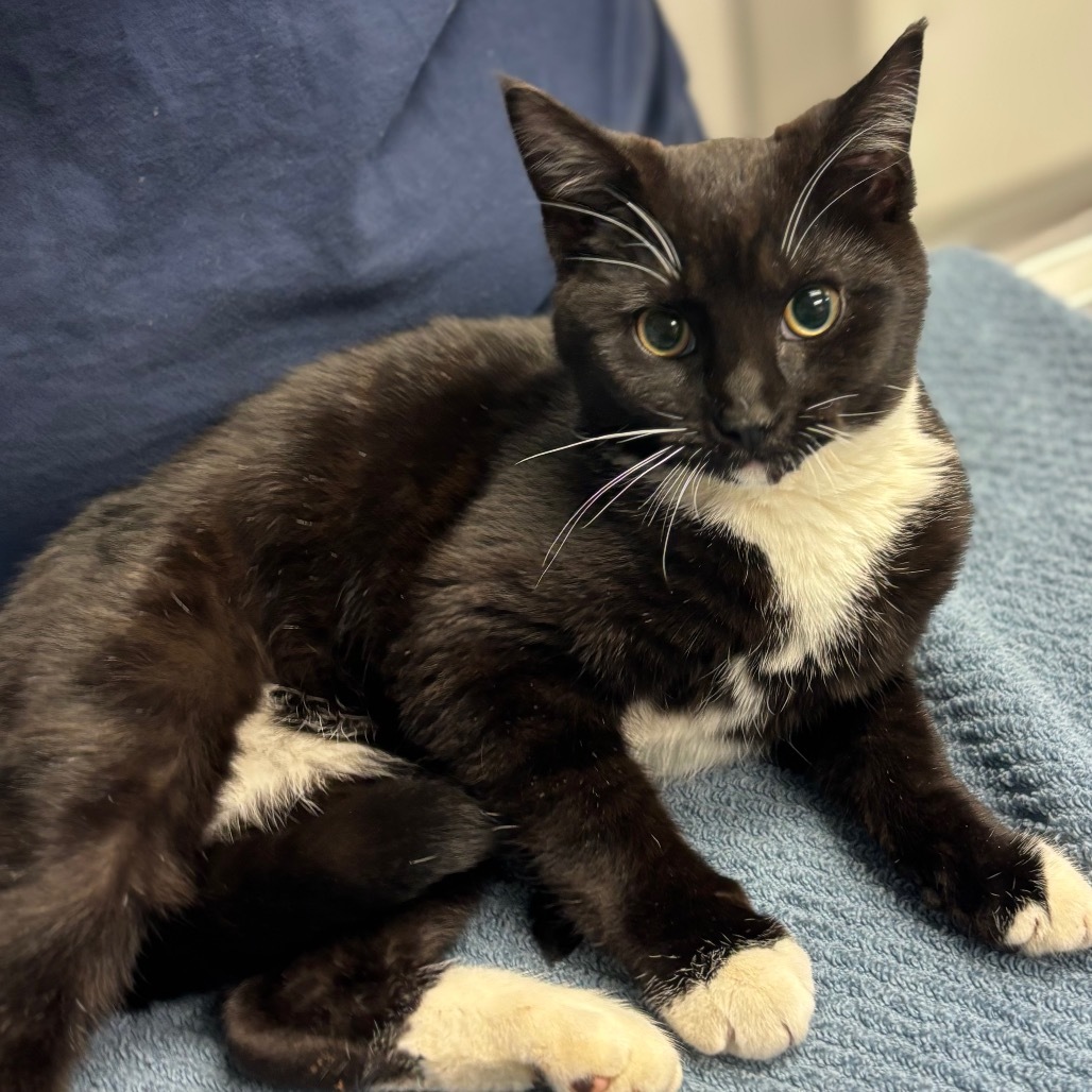 Mort (In Foster)