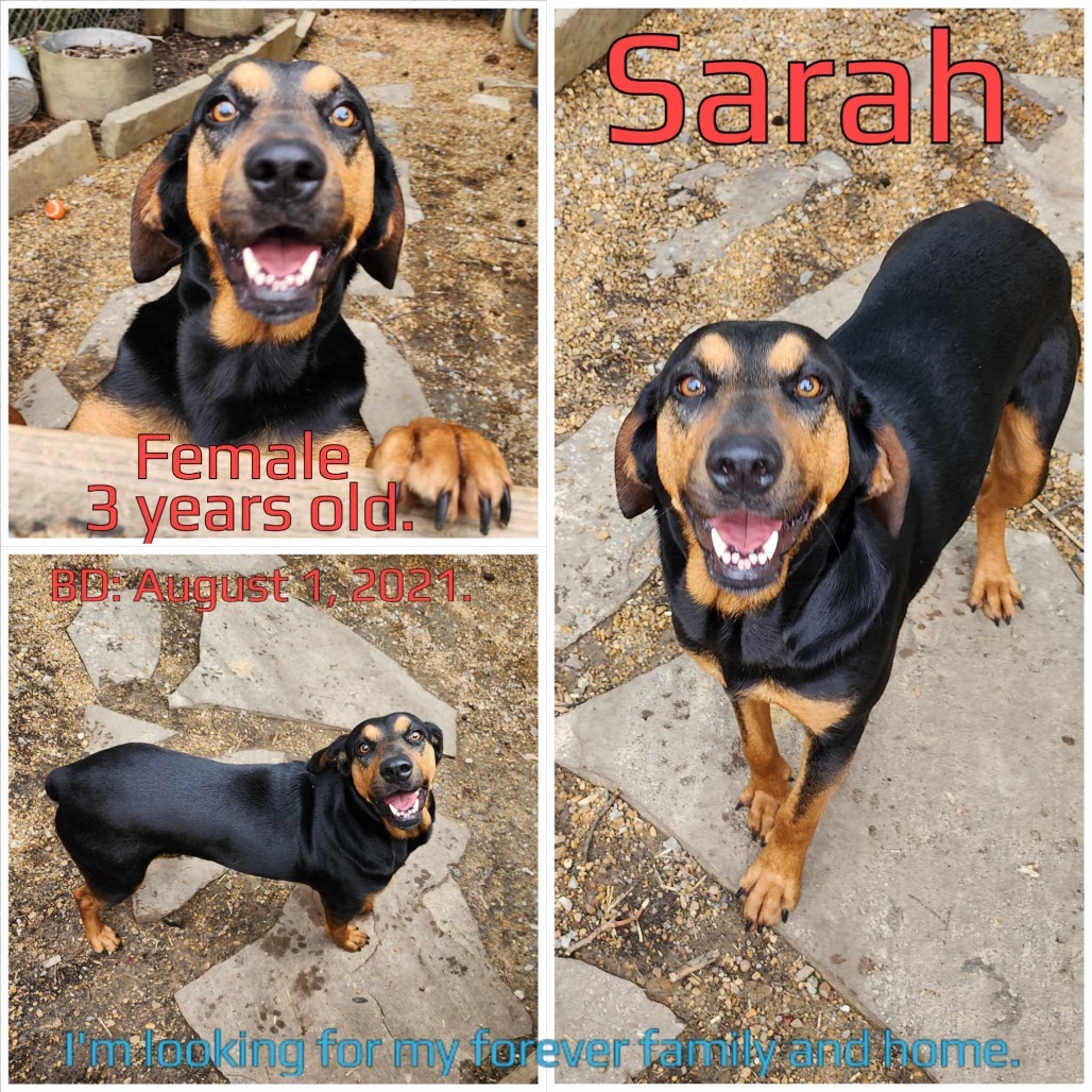 Sarah