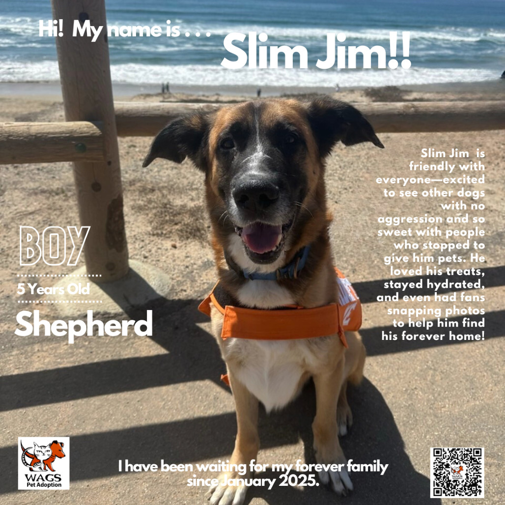 Slim Jim