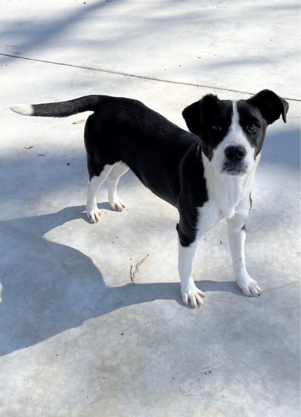 Havana - Holy cow I'm cute!