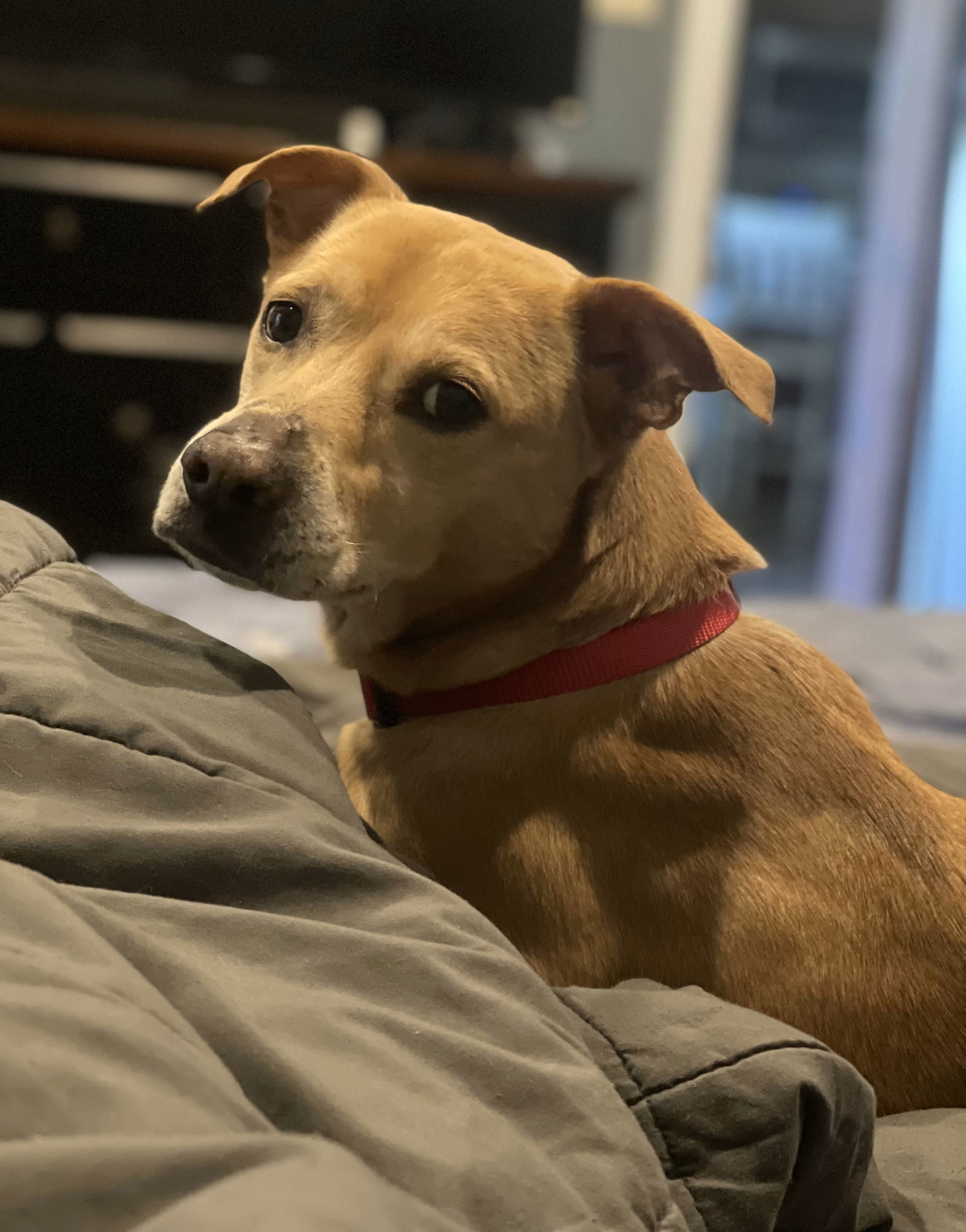 Oliver - Awesome boy!