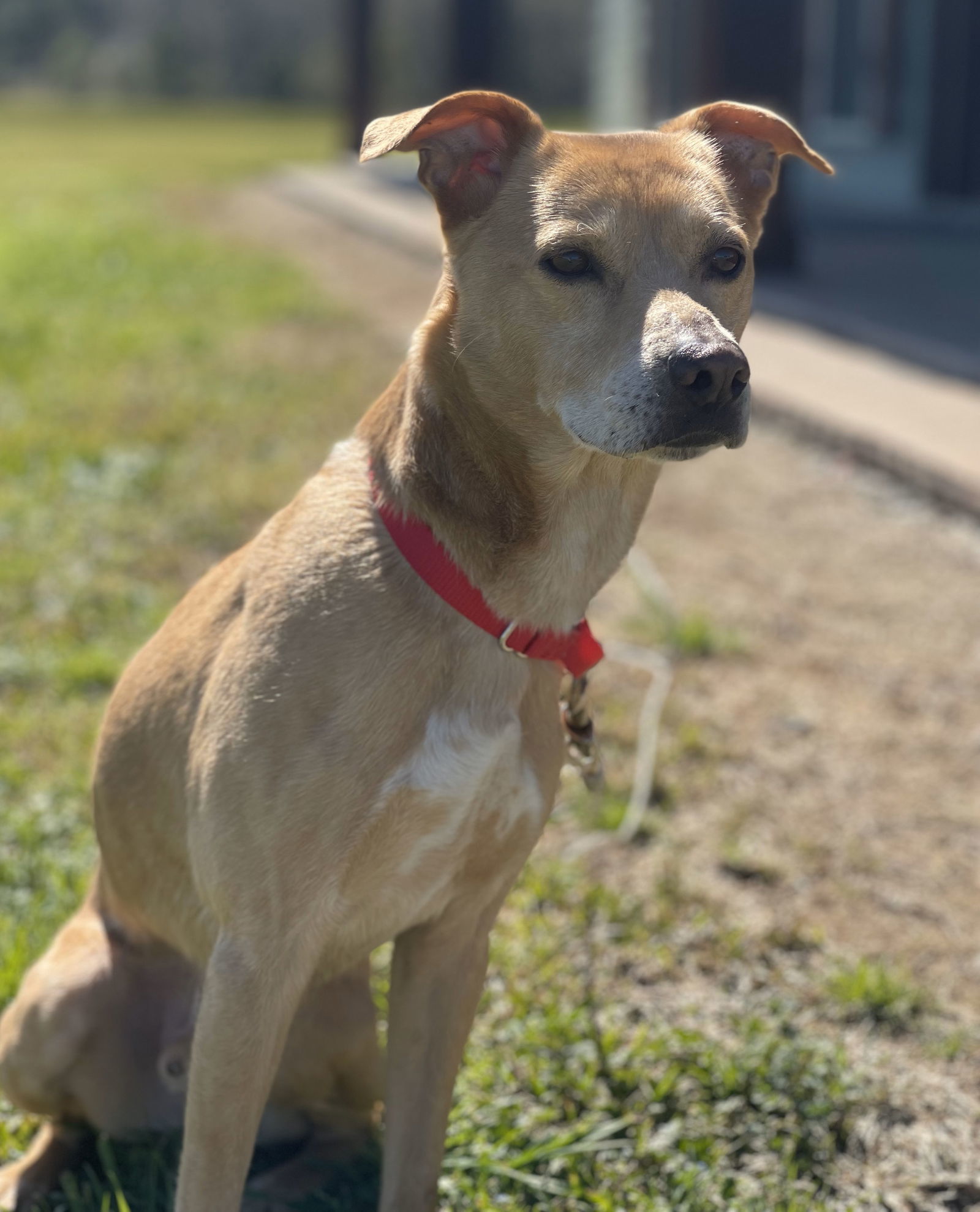 Oliver - Awesome boy!