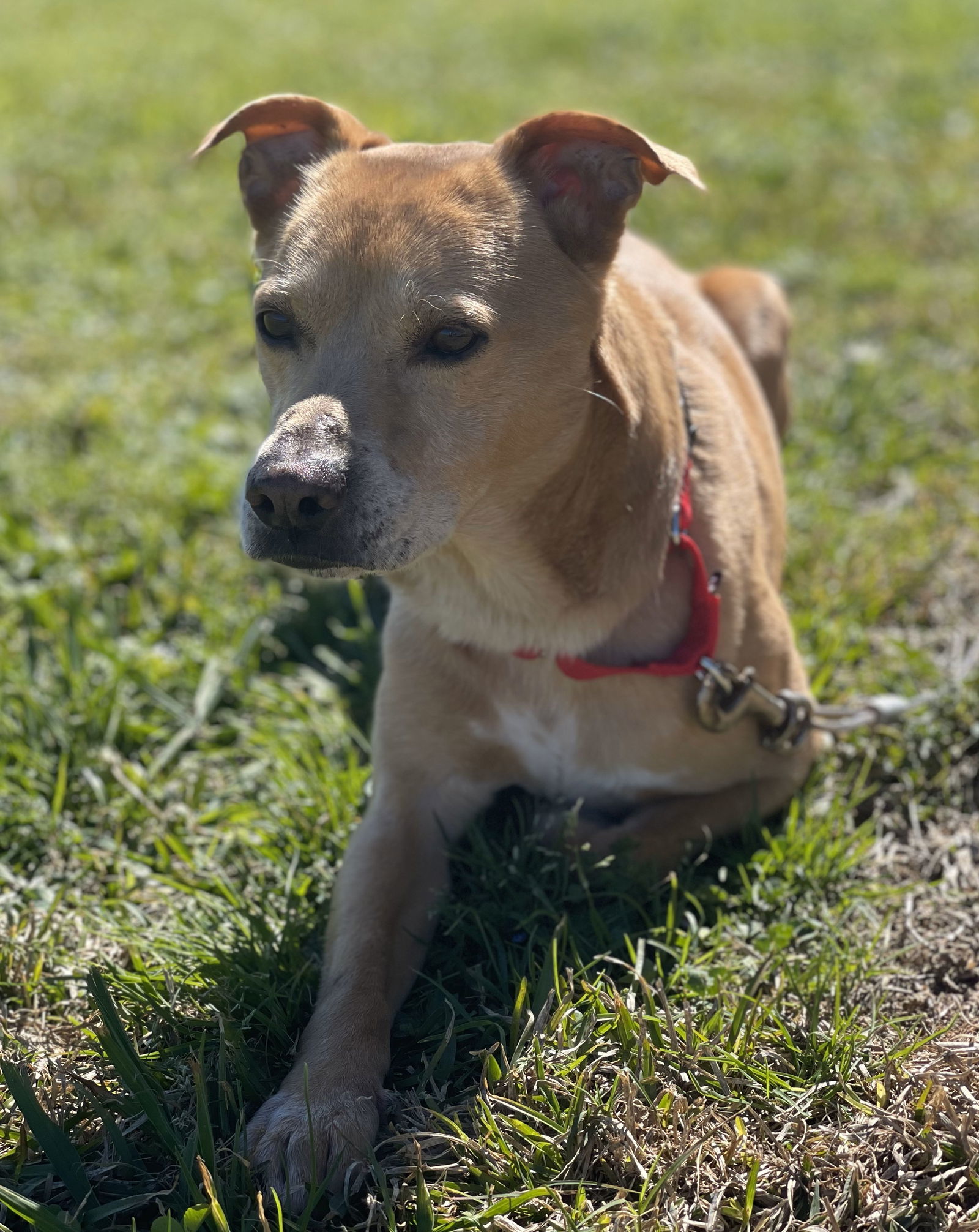 Oliver - Awesome boy!
