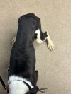 Roblox - IN FOSTER photo 3