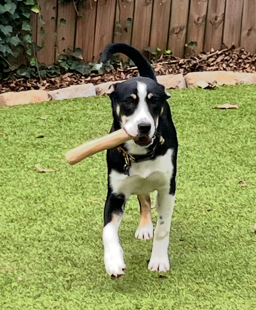 Wally
