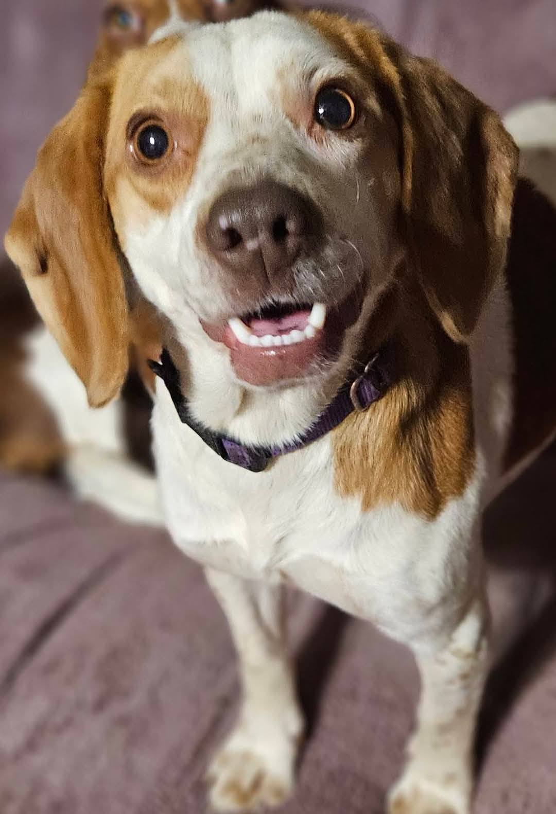 Laverne