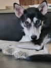 Louise photo 4