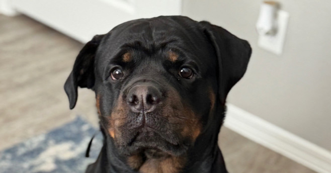 Kona