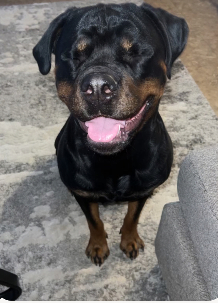Kona