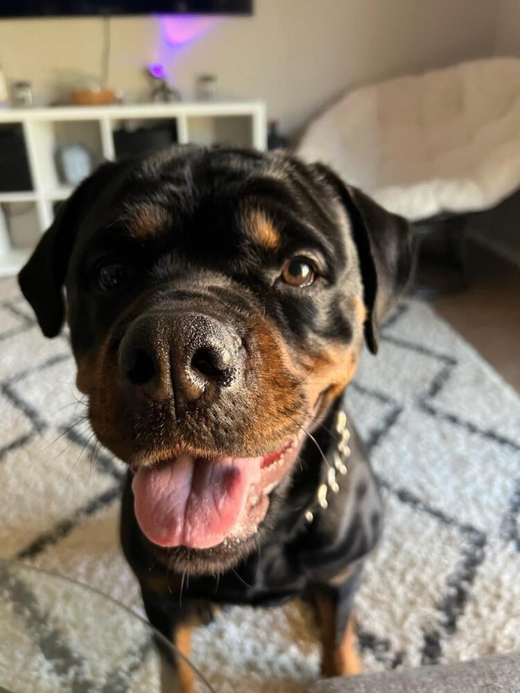 Kona