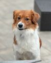 Alfie photo 5