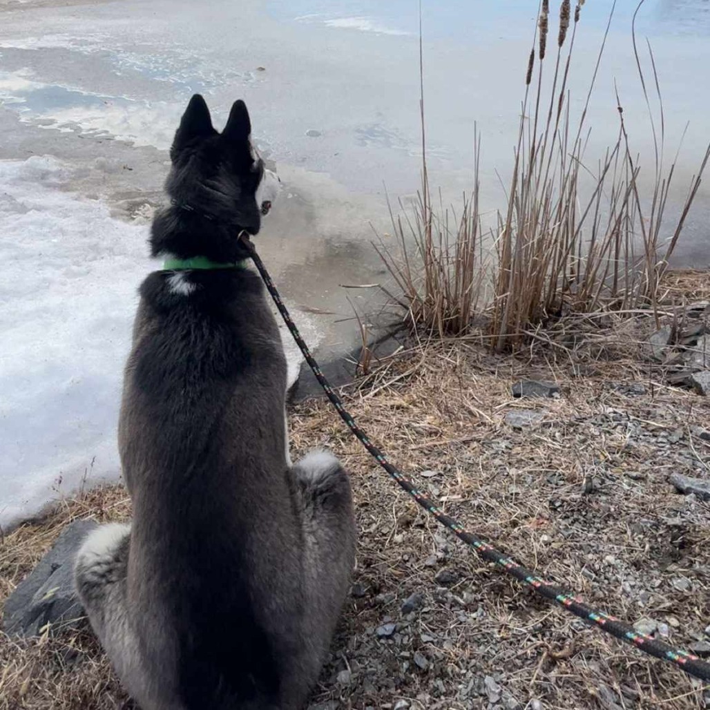 Yukon