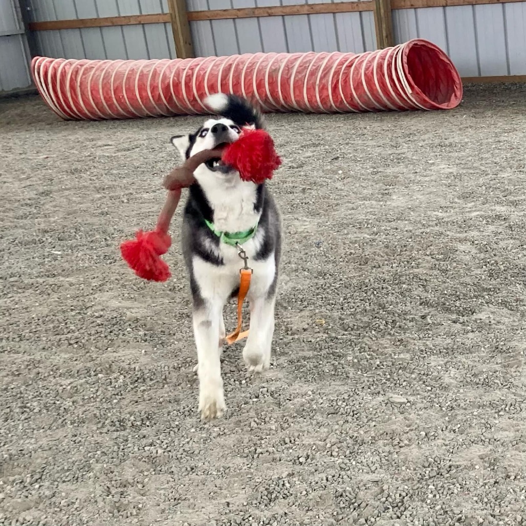 Yukon